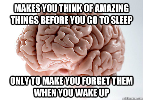 makes you think of amazing things before you go to sleep only to make you forget them when you wake up - makes you think of amazing things before you go to sleep only to make you forget them when you wake up  Scumbag Brain