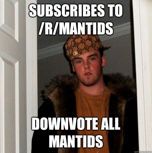 Subscribes to /r/mantids Downvote all mantids  Scumbag Steve