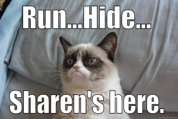 RUN...HIDE... SHAREN'S HERE. Grumpy Cat