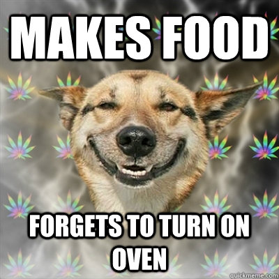 Makes Food Forgets to turn on oven  Stoner Dog