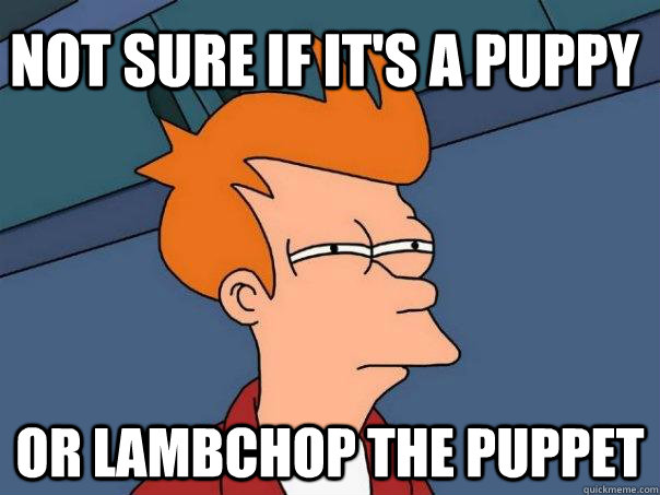 Not sure if it's a puppy or lambchop the puppet - Not sure if it's a puppy or lambchop the puppet  Futurama Fry