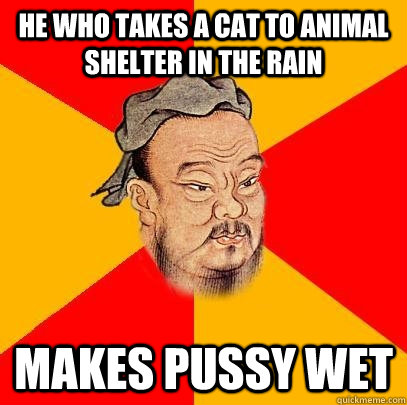 He who takes a cat to animal shelter in the rain Makes pussy wet  Confucius says