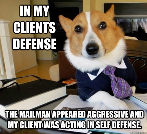 In my clients defense The mailman appeared aggressive and my client was acting in self defense. - In my clients defense The mailman appeared aggressive and my client was acting in self defense.  Lawyer Dog