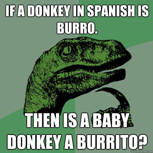 If a donkey in spanish is burro. Then is a baby donkey a burrito?  Philosoraptor