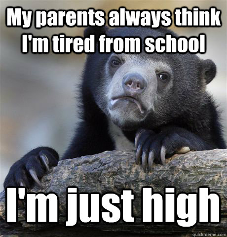 My parents always think I'm tired from school I'm just high - My parents always think I'm tired from school I'm just high  Confession Bear