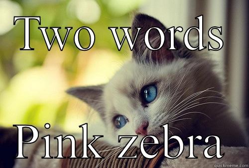 TWO WORDS PINK ZEBRA First World Problems Cat