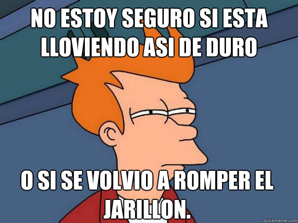 No estoy seguro si esta lloviendo asi de duro O si se volvio a romper el jarillon. - No estoy seguro si esta lloviendo asi de duro O si se volvio a romper el jarillon.  Futurama Fry