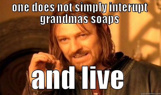 ONE DOES NOT SIMPLY INTERUPT GRANDMAS SOAPS AND LIVE Boromir