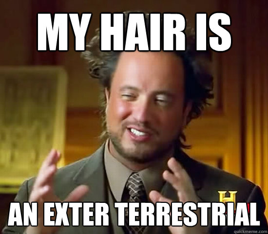 My hair is an exter terrestrial - My hair is an exter terrestrial  Ancient Aliens