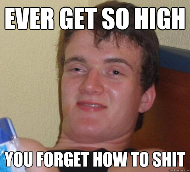 Ever get so high You forget how to shit  10 Guy