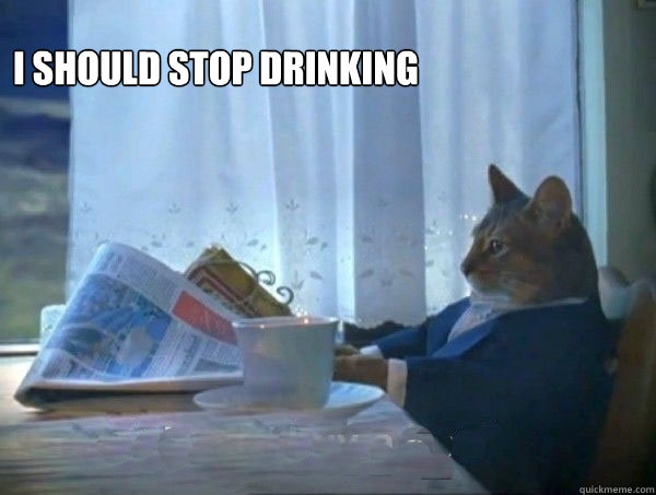 I should stop drinking                        morning realization newspaper cat meme