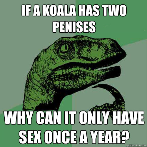 If a koala has two penises why can it only have sex once a year?  Philosoraptor