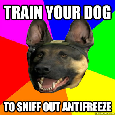 train your dog to sniff out antifreeze  Call of Duty Advice Dog