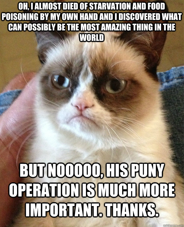 Oh, I almost died of starvation and food poisoning by my own hand and I discovered what can possibly be the most amazing thing in the world but nooooo, his puny operation is much more important. thanks.  Grumpy Cat