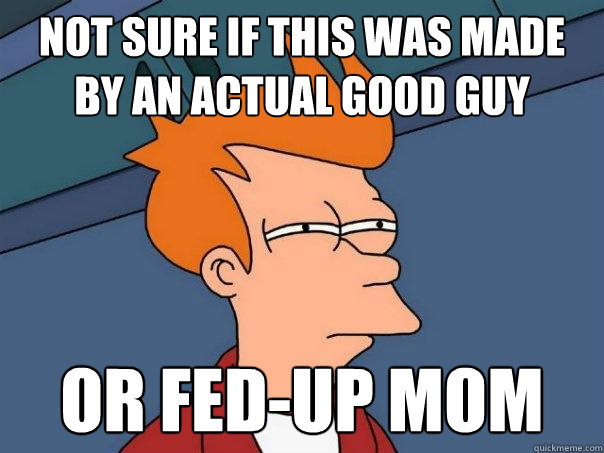 Not sure if this was made by an actual good guy Or fed-up mom  Futurama Fry