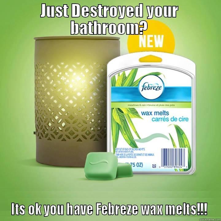 JUST DESTROYED YOUR BATHROOM? ITS OK YOU HAVE FEBREZE WAX MELTS!!! Misc