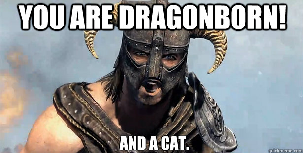 you are dragonborn! and a cat.  skyrim