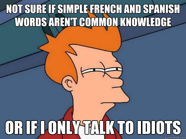 Not sure if simple french and spanish words aren't common knowledge or if I only talk to idiots - Not sure if simple french and spanish words aren't common knowledge or if I only talk to idiots  Futurama Fry