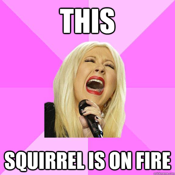 This Squirrel is on fire  Wrong Lyrics Christina