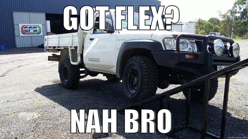 FLEXXY POOTROL - GOT FLEX? NAH BRO Misc