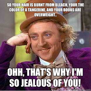  so your hair is burnt from bleach, your the color of a tangerine, and your boobs are overweight.. Ohh, That's why I'm so jealous of you!  Condescending Wonka