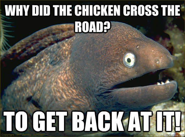 Why did the chicken cross the road? To get back at it!  Bad Joke Eel