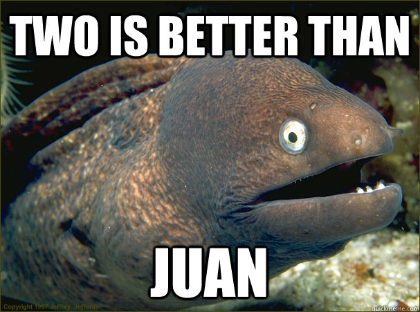 two is better than juan  Bad Joke Eel