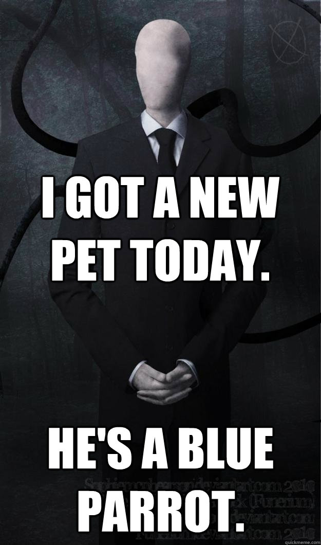 I got a new pet today. He's a blue parrot. - I got a new pet today. He's a blue parrot.  Slenderman