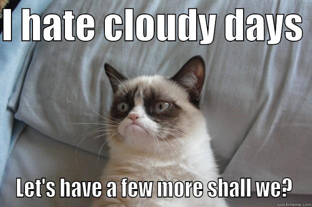 I HATE CLOUDY DAYS  LET'S HAVE A FEW MORE SHALL WE? Grumpy Cat