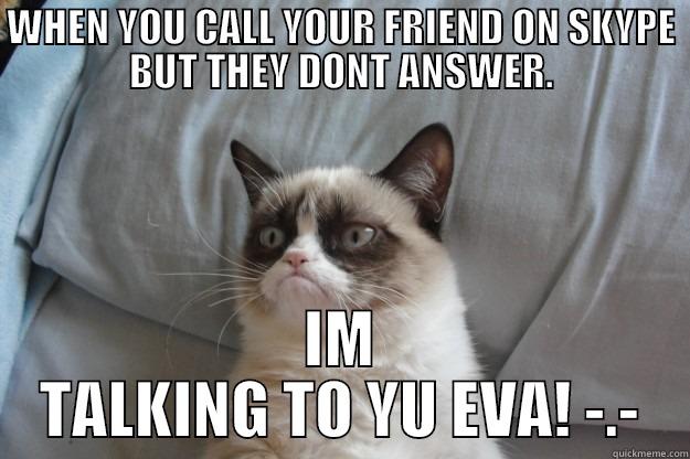 WHEN YOU CALL YOUR FRIEND ON SKYPE BUT THEY DONT ANSWER. IM TALKING TO YU EVA! -.- Grumpy Cat