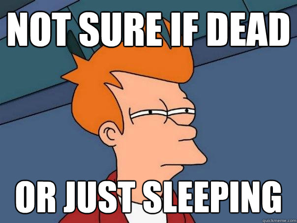 not sure if DEAD or just sleeping  Futurama Fry