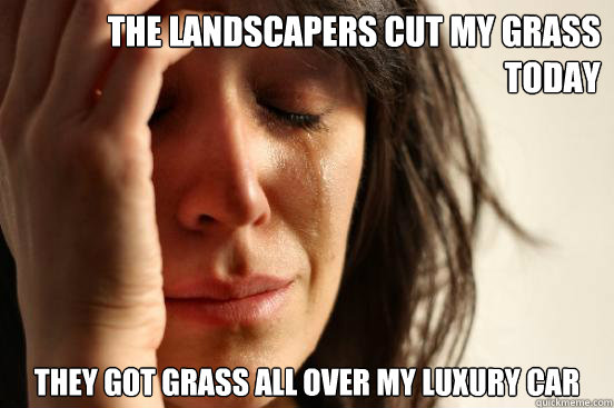 the landscapers cut my grass today they got grass all over my luxury car  First World Problems