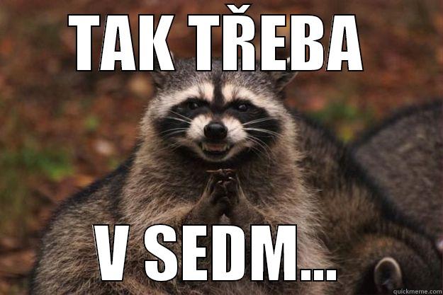 TAK TŘEBA V SEDM... Evil Plotting Raccoon