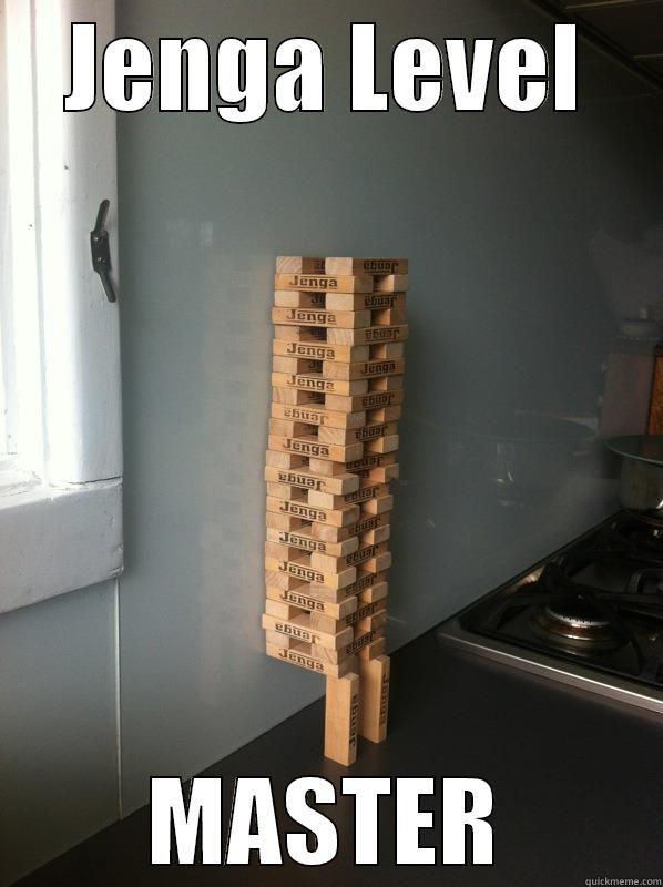 JENGA LEVEL MASTER Misc