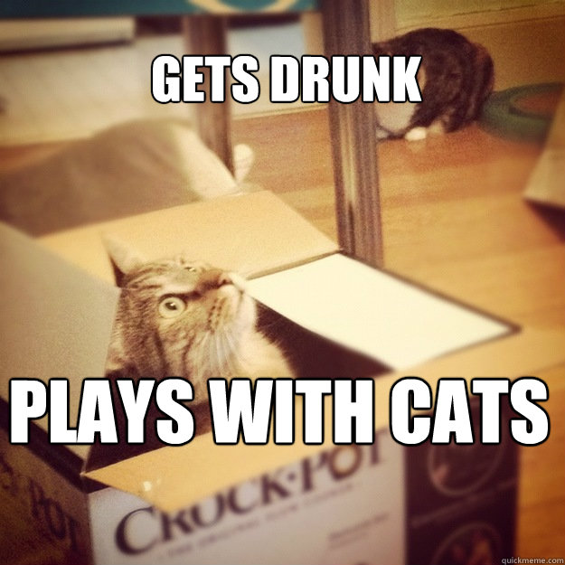 Gets drunk plays with cats  Cats wife