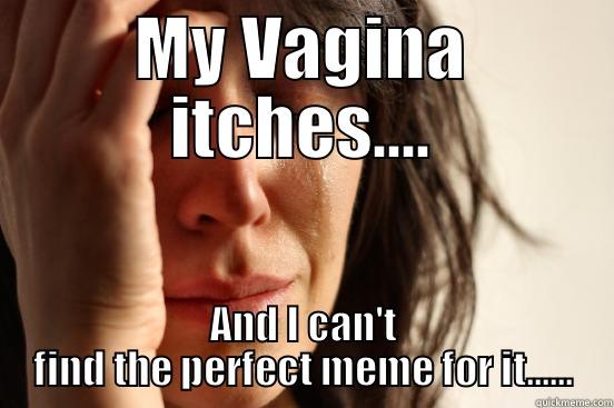 MY VAGINA ITCHES.... AND I CAN'T FIND THE PERFECT MEME FOR IT...... First World Problems