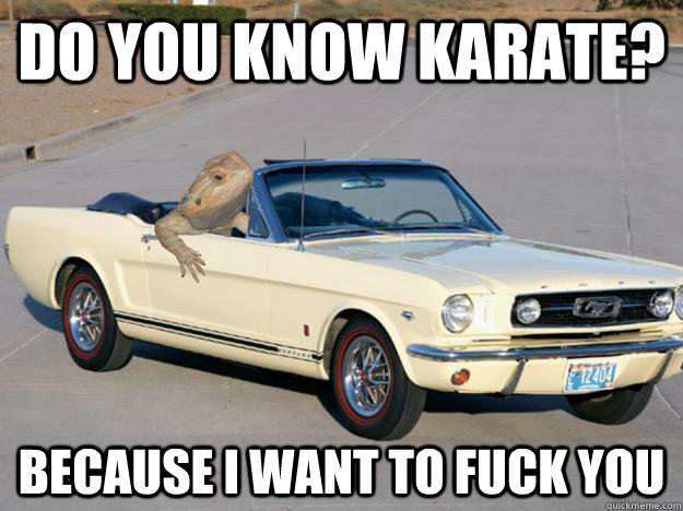 Do you know karate? because i want to fuck you  