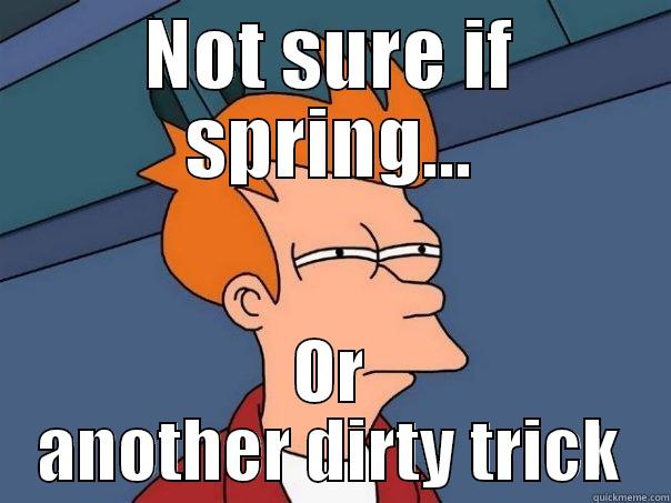 NOT SURE IF SPRING... OR ANOTHER DIRTY TRICK Futurama Fry