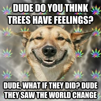 Dude do you think trees have feelings? Dude, what if they did? dude they saw the world change  Stoner Dog