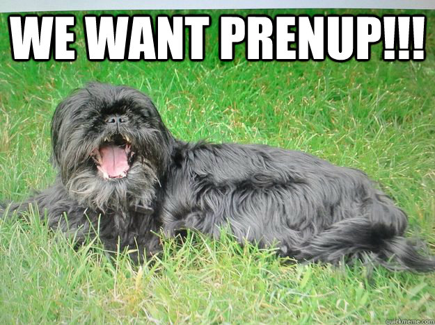 we want prenup!!!  - we want prenup!!!   mattfood