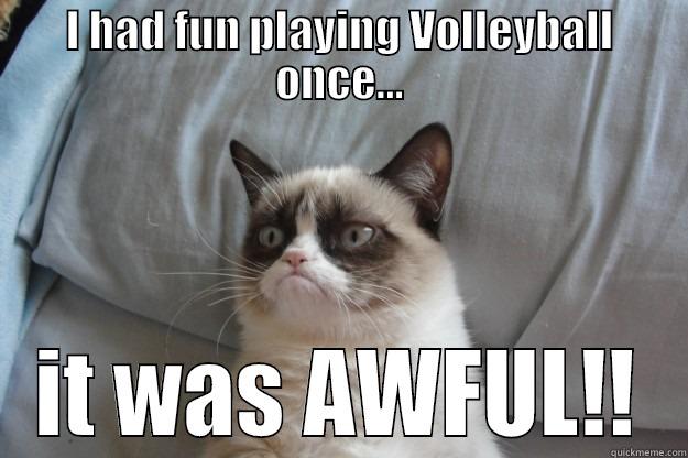 I HAD FUN PLAYING VOLLEYBALL ONCE... IT WAS AWFUL!! Grumpy Cat