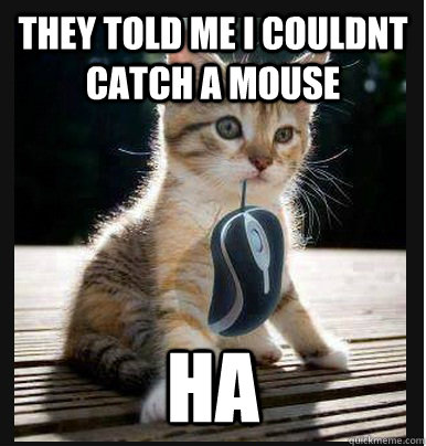 they told me i couldnt catch a mouse ha  - they told me i couldnt catch a mouse ha   Disheartened Cat