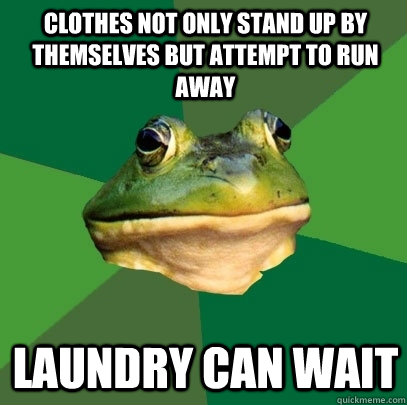 clothes not only stand up by themselves but attempt to run away laundry can wait - clothes not only stand up by themselves but attempt to run away laundry can wait  Foul Bachelor Frog