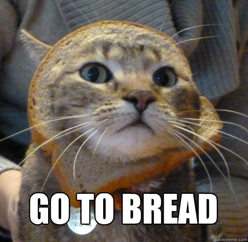 GO TO BREAD  Go to bread cat