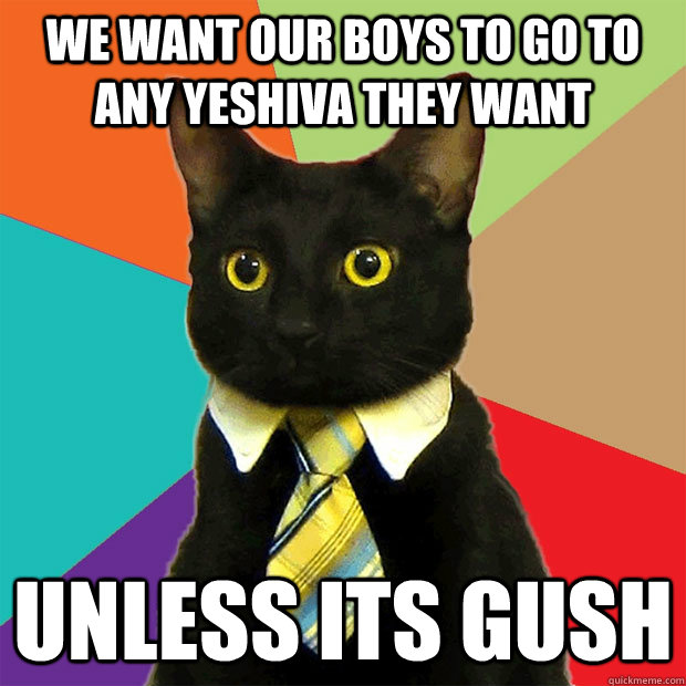 We want our boys to go to any yeshiva they want unless its gush  Business Cat