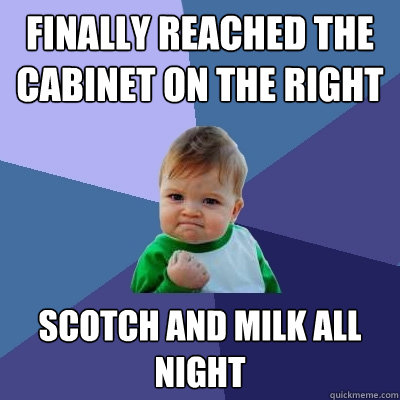 Finally reached the cabinet on the right Scotch and Milk all night - Finally reached the cabinet on the right Scotch and Milk all night  Success Kid