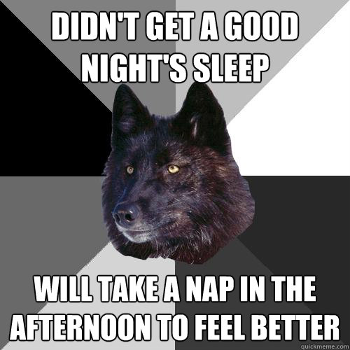 didn't get a good night's sleep will take a nap in the afternoon to feel better  Sanity Wolf