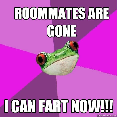 Roommates are gone I can fart now!!! - Roommates are gone I can fart now!!!  Foul Bachelorette Frog