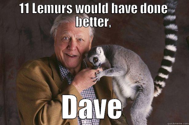 11 LEMURS WOULD HAVE DONE BETTER, DAVE Misc