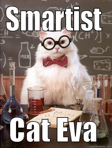 Smartest Cat - SMARTIST CAT EVA Chemistry Cat